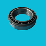 Подшипник игольчатый F.229817.01 PWKR